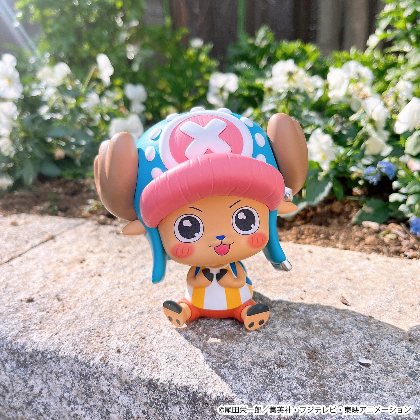 Lookup Tony Tony Chopper (Excited Ver.)