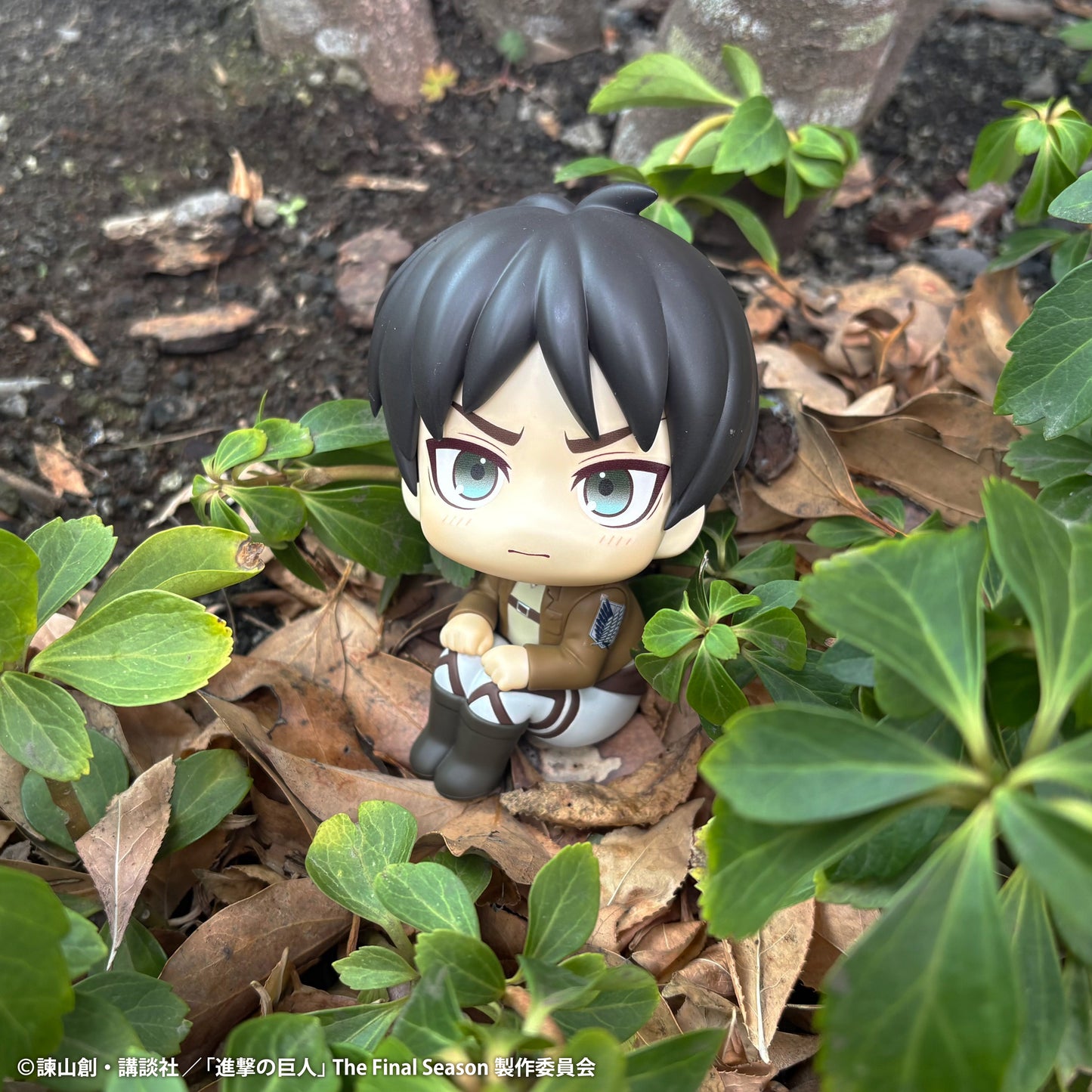 Lookup Eren Jeager (Grump Ver.)