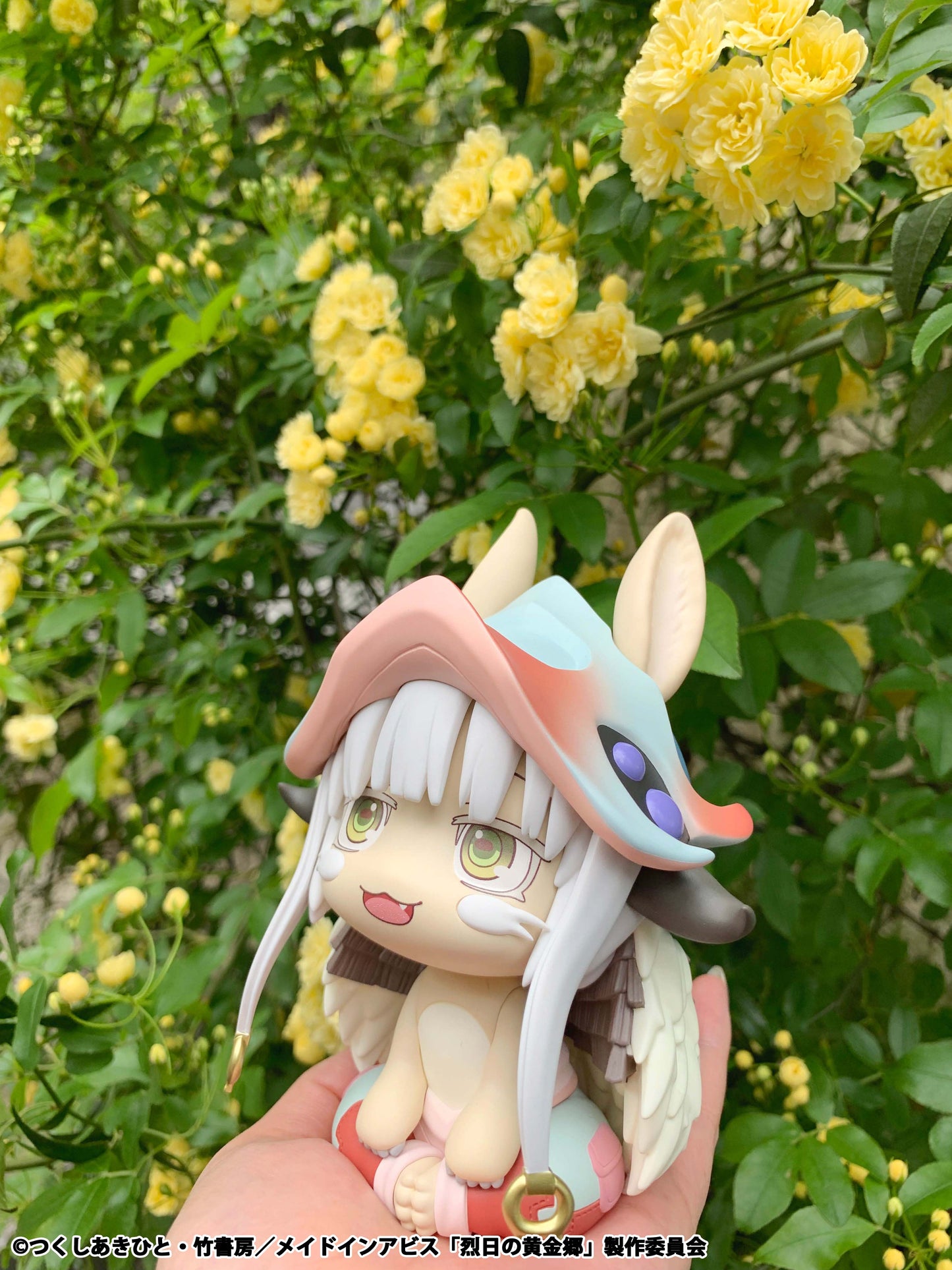 Lookup Nanachi (Re-Run)
