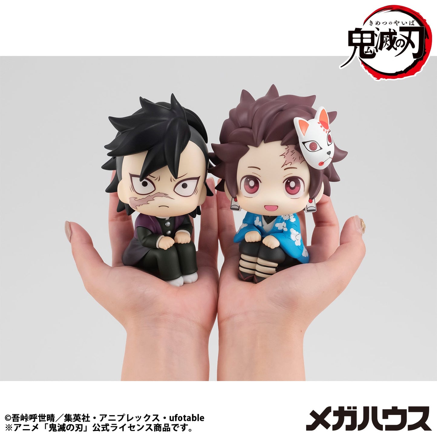 Lookup Tanjiro Kamado (Final Selection Ver.) (Re-Run)