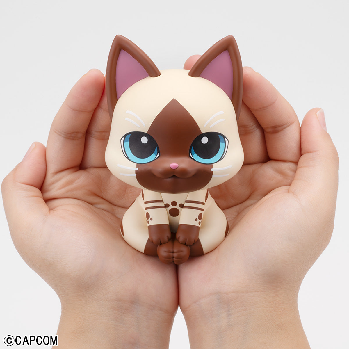 Lookup Airou