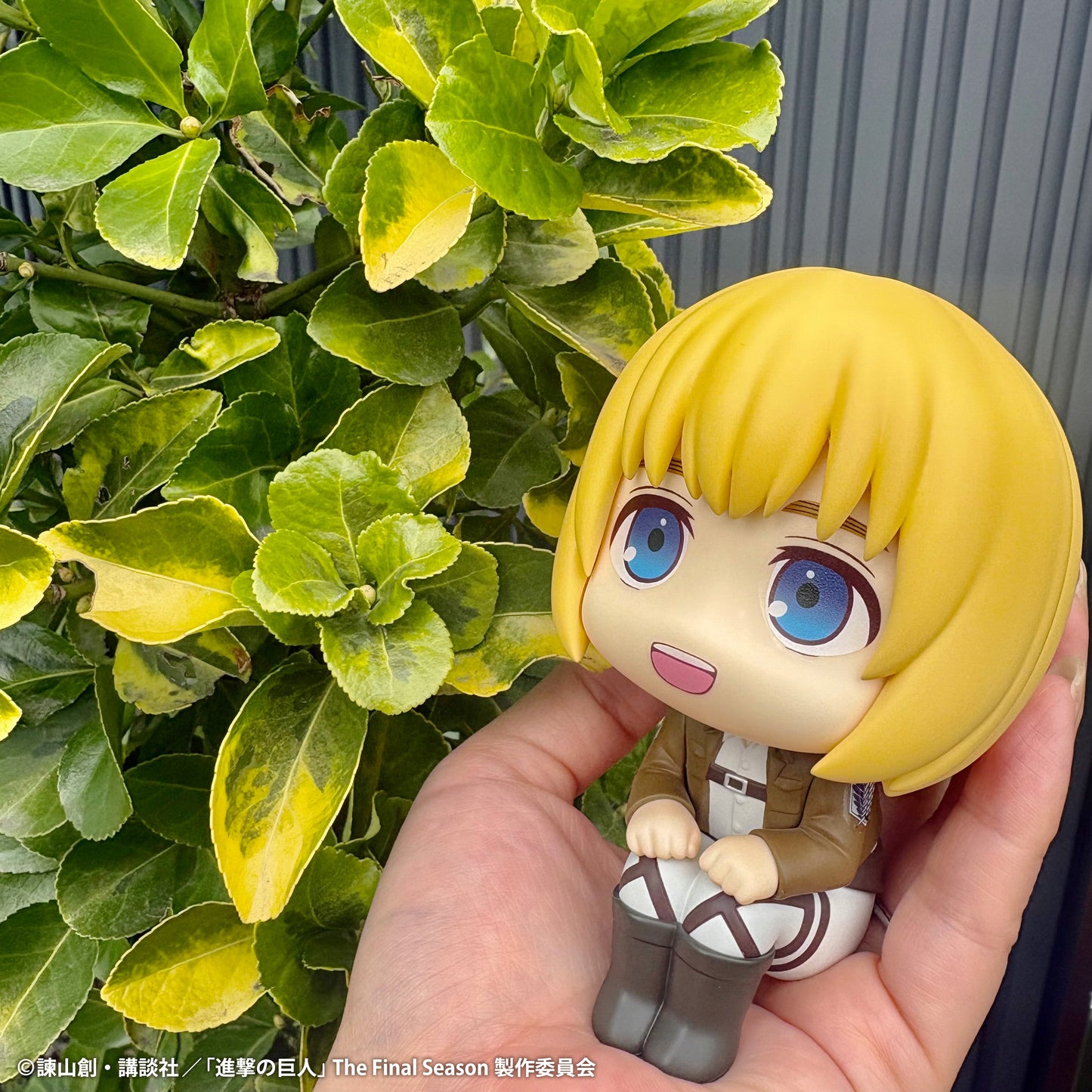 Lookup Armin Arlert