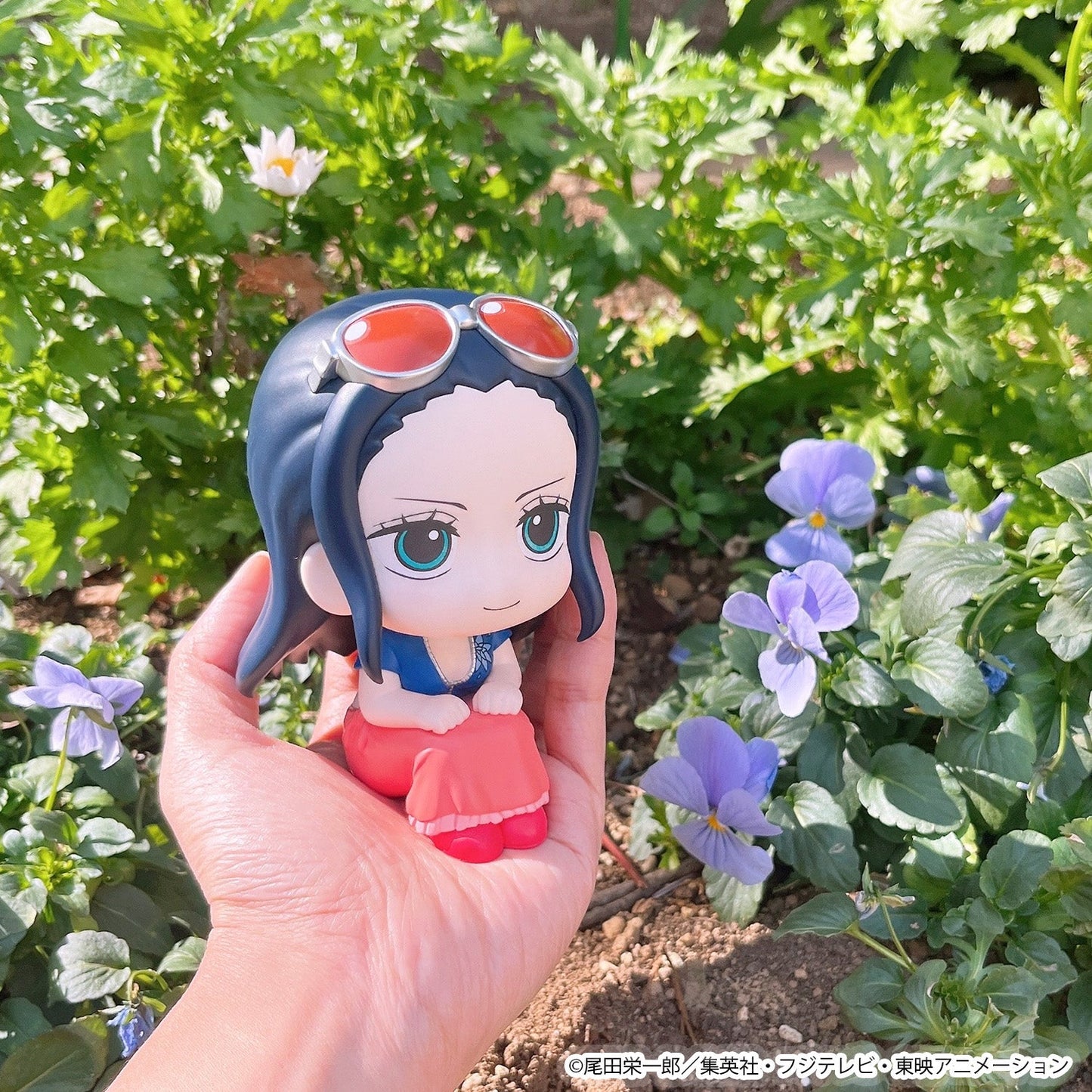 Lookup Nico Robin